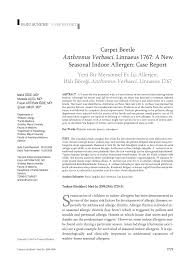 pdf carpet beetle anthrenus verbasci
