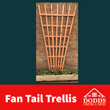 Fan Tail Trellis Fencing Sheds