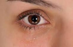 do-tears-grow-eyelashes