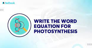 Word Equation For Photosynthesis