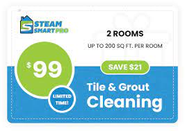 top rated carpet cleaning service 3