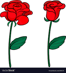 two red roses royalty free vector image
