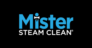 mister steam clean logo and branding