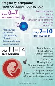early pregnancy symptoms after