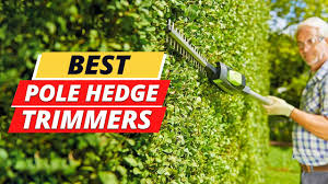 best pole hedge trimmers 2023 on amazon