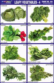 Leafy Vegetables List With Pictures