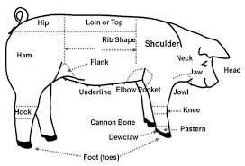 Pin By Bridgette Newell On 4 H Pig Farming Pig Showing
