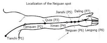 Image result for Neiguan acupoint