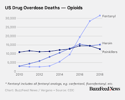 Nearly Half A Million Americans Died From Drug Overdoses In
