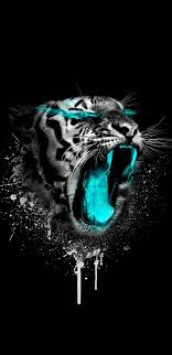 black tiger android wallpapers