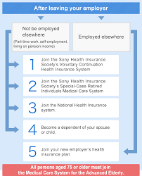 How does national health insurance work. After You Leave Your Employer Health Insurance System Sony Health Insurance Society