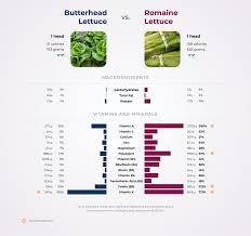 erhead lettuce vs romaine lettuce