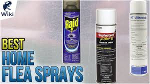 10 best home flea sprays 2018 you