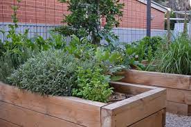 How To Make Raised Vegetable Beds