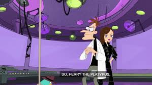 An archive for PnF facts — can you go into Vanessa and Perry's  relationship?...