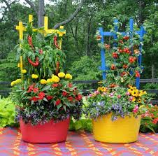 22 Stunning Container Vegetable Garden