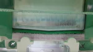 sds page loading dye separating