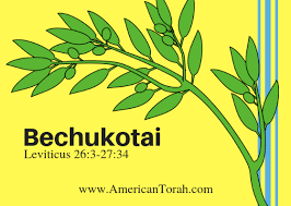 Bechukotai Archives - American Torah