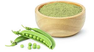 pea protein powder benefits uses