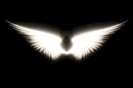 Image result for wings