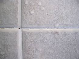 Repair Ed Grout On Shower Walls
