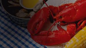 lobster season in maine