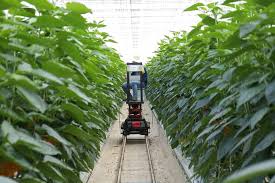 Iot In Agriculture Five Technology Uses For Smart Farming