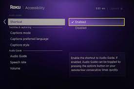 how to turn off the narrator on a roku