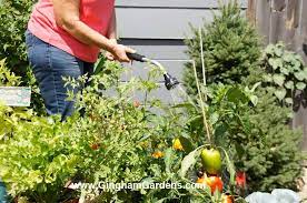 How To Efficiently Water Your Garden