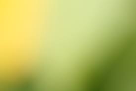 free photo of yellow green