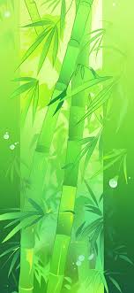 green bamboo aesthetic wallpapers