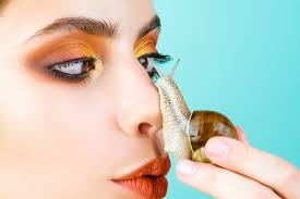 adorable snail cosmetics