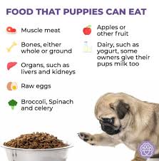 food that can make your pups happier