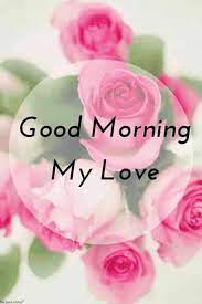 Check spelling or type a new query. Good Morning My Love With Pink Roses Hd Image Good Morning Flowers Pictures Good Morning Images Hd Good Morning Images
