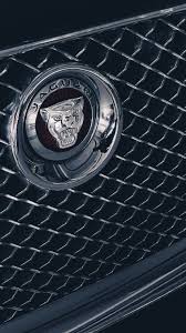 stainless jaguar logo brand in close up
