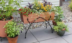 Best Flower Pots For Your Yard The