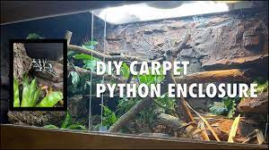 carpet python enclosure from scratch