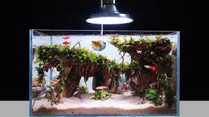 In this video i present aqu. Amazing Diy Nano Planted Aquarium At Home Ideas Homemade Mini Aquascape Fish Tank Mr Decor 140 Youtube