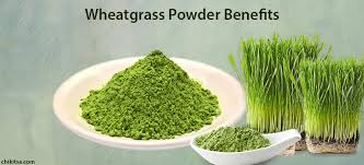 10 amazing wheatgr powder benefits