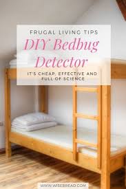 diy bedbug detector is and