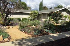 Drought Tolerant Landscaping Chuck S