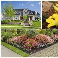 M C R Lawn Services Winter Garden