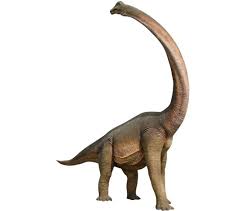 Brachiosaurus Dinosaur Twisted Neck