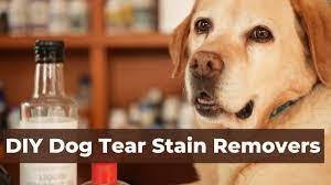 dog tear stain removers 5 natural