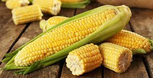 is corn healthy nutrition benefits
