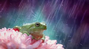 50 beautiful rain wallpapers for your