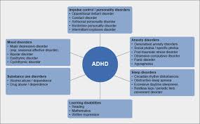 Psychiatric Comorbidities In Patients With Adhd Adhd Institute