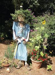 ms pickles silly garden scarecrows