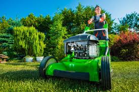 Remove other sticks, rocks, and other plant debris in your lawn and dig up the old roots. Mulch Mow Weed And Grow Do You Want To Do It Yourself Or Ask An Expert Inspired Living Omaha Com