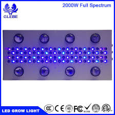 China Led Grow Light Substitute Hps Mh 1000 Watt 1500w 2000w 45mil Cob Chip Full Spectrum China Led Grow Light Plant Grow Light